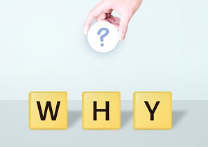 不動産動画広告集客の活用が拡大している理由をひも解く